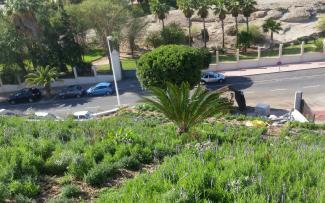 There are even palm trees on the steep roofs - thanks to special indentations in the roof structure. © ZinCo GmbH / Impermeabilizaciones Machado, S.L.U. Pitched green roof with palm trees